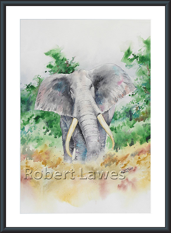 Charging Elephant Watercolour