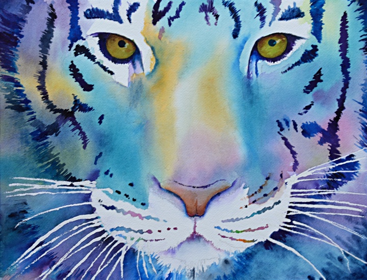 Blue Tigerface Watercolour