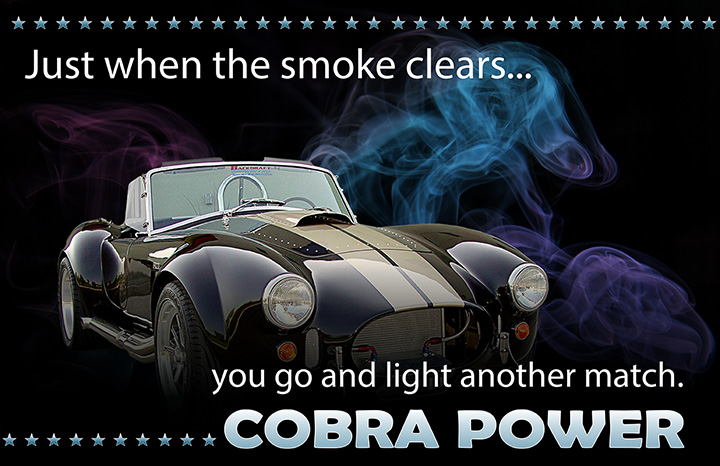 Cobra Ad Proposal