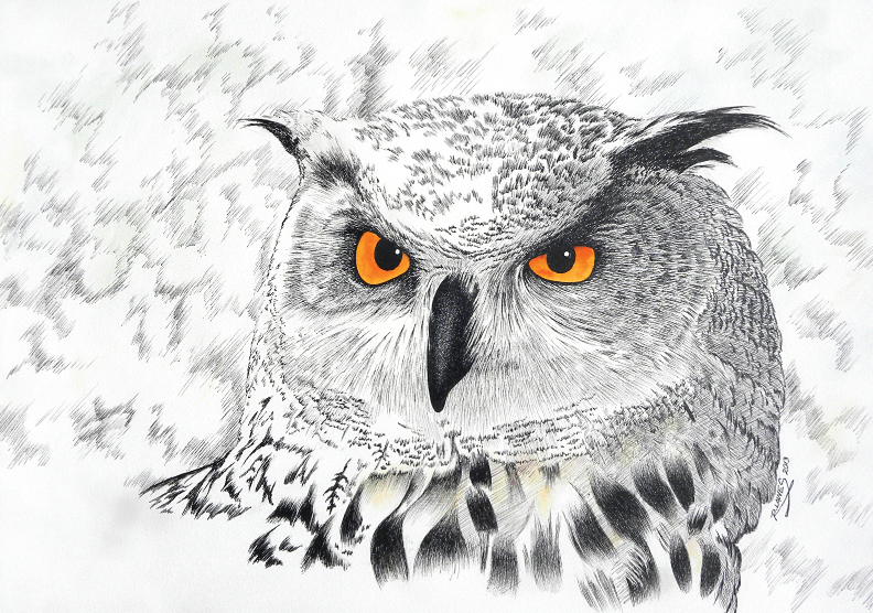 Owl Drawing In Mixed Media