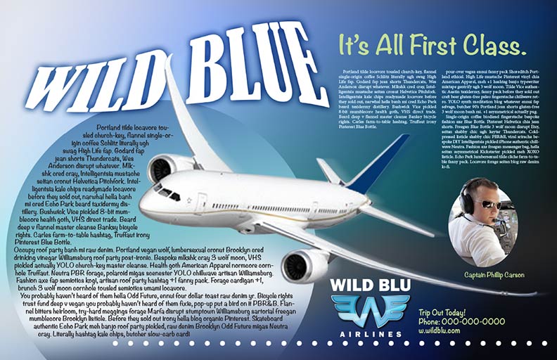 Wild Blu Airlines Layout Proposal